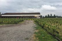 Colchagua Valley