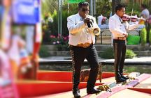 Small Group: Discover Xochimilco, Coyoacán, Frida Kahlo Museum and House