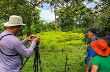 Bird Watching Near the Arenal Volcano