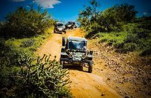 TomCar ATV Tour in Sonoran Desert