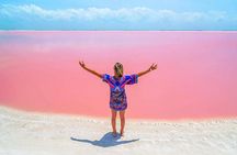 Cancun tour Las Coloradas Pink Lagoon + Rio Lagartos Tour