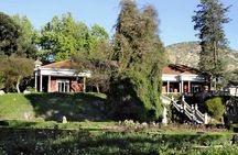 Private Tour: Santa Rita Vineyard with Wine Tastings