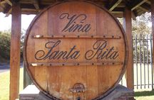 Private Tour: Santa Rita Vineyard with Wine Tastings