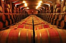 PRIVATE TOUR: 3 most famous wineries on 1 day from Santiago - Full Winetasting