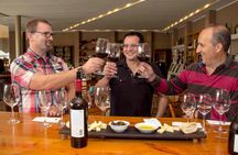 Private Tour: Viña del Mar and Valparaíso Tour with Wine Tasting in Casablanca Valley