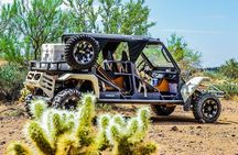 TomCar ATV Tour in Sonoran Desert