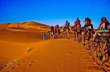 3 Days 2 Nights Private Tour from Marrakech to Fes via Sahara Desert 