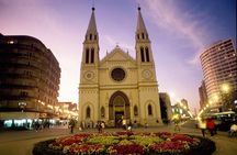 Experience the Best of Curitiba: City Tour Highlights