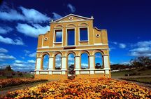 Experience the Best of Curitiba: City Tour Highlights