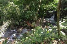 Soberania National Park Hike 