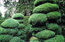 COMBO Victoria City Tour & Butchart Gardens & Entry Tix