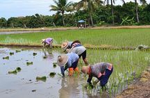 Chiangrai Round Trip Classic Tours 3 Days 2 Nights 