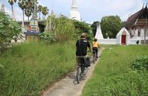 Half-Day Ayutthaya City Cultural Bike Tour