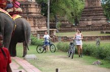 Colors of Ayutthaya Full-Day Bike Tour