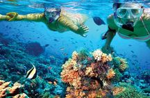 Discover Isla Mujeres in Catamaran. Buffet, Open Bar and Snorkel