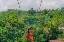 Ubud Jungle Swing, Temple & Waterfall Tour (Private Half Day Tour)