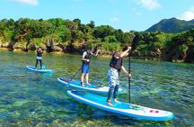 Okinawa Ishigaki Kabira Bay SUP or Canoe Tour