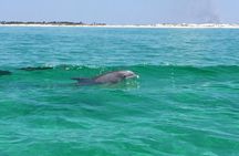 Hydrojet Dolphin Cruise in Destin FL 