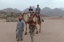 Desert adventure of Mega Safari in Hurghada