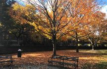 Harlem Walking Tour: Mount Morris Park Historic District w/ Lunch