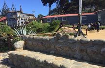 Isla Negra Museum & CasaBlanca Winery From Valpo. Private Tour