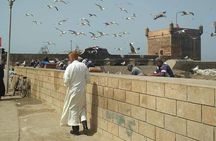 Day trip to Essaouira from Marrakech 