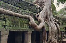 Private 1Day tour: Angkor Small tour with Banteay srei or pink lady temple.