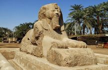 Private Tour: Giza pyramids and Saqqara and Memphis & Camel Ride