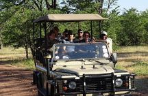 Game Drive & Rhino Safari Exp - up to 3 hrs long - MIN 2 PEOPLE