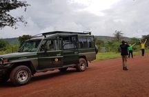 One-day Akagera National Park Game Drive with a Choice 4x4