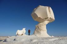 7-Days in Cairo's Hottest Sites