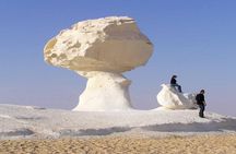 All inclusive Overnight trip to Bahariya Oasis with White Desert 