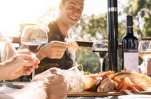 Helicopter Tour - Sirromet Winery & Scenic Flight