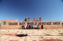 7-Day Exmouth Explorer via Pinnacles Monkey Mia Ningaloo Reef returning to Perth