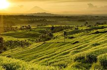 Jatiluwih Rice Terrace & Tanah Lot Tours