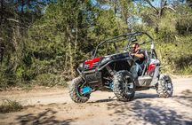 Ibiza: Buggy Excursion