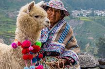 Colca Canyon 2 - Days From Puno To Arequipa