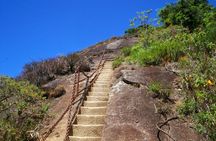 Tijuca Peak Hiking Tour & Taunay Waterfall - Rio de Janeiro