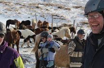 Deacon Horse Riding Tour