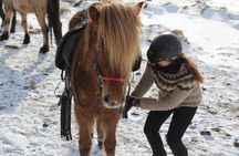 Deacon Horse Riding Tour