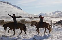 Deacon Horse Riding Tour