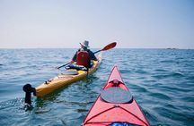 Half-Day Orleans Island Small-Group Sea Kayaking Tour