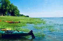 Half-Day Orleans Island Small-Group Sea Kayaking Tour