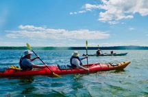 Half-Day Orleans Island Small-Group Sea Kayaking Tour