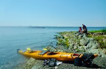 Half-Day Orleans Island Small-Group Sea Kayaking Tour