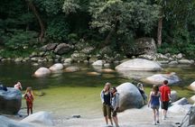 Cairns Daintree Rainforest and Cape Tribulation 2-Day Tour