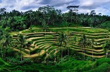 Fantastic Ubud Tour with Jungle Swing