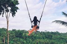 Fantastic Ubud Tour with Jungle Swing
