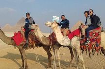 Day Tour Grand Egyptian Museum and Giza Pyramids