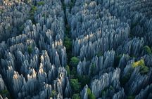 1 Day Stone Forest & Jiuxiang Cave Tour
